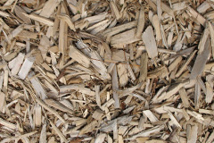 biomass boilers Styrrup
